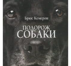 «Подорож собаки» Брюс Кемерон