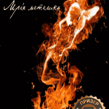 «Мрія метелика» Лія Щеглова
