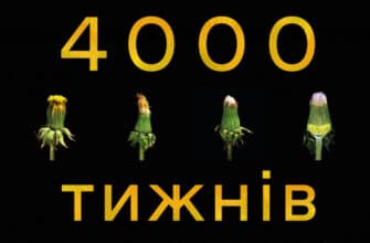 «Чотири тисячі тижнів. Тайм-менеджмент для смертних» Олівер Беркмен