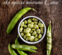 Аудіокнига «Про квасолинку, яка мріяла побачити Сонце» Зоряна Живка