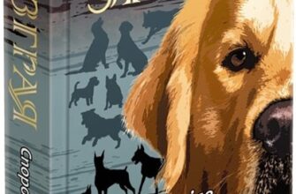 «Зграя. Книга 1. Спорожніле місто» Ерін Гантер