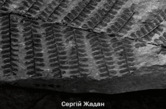 Аудіокнига «Інтернат» Сергій Жадан