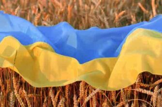 Аналіз (паспорт) вірша “Де найкраще місце на Землі”