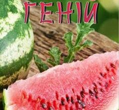 «Геній» Мо Янь