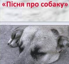 «Пісня про собаку» Сергій Єсенін